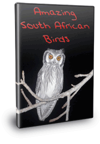 Nature Conservation in South Africa