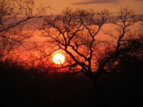African Sunset