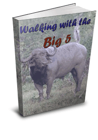 Enter Veldfundi's YouTube Direct Challenge