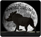 About Veldfundi.co.za